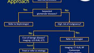 Approach to Asymptomatic Hematuria in Adult [upl. by Allemac260]