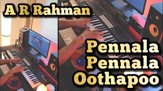 Pennala Pennala Oothapoo Piano Cover  Uzhavan 1993  AR Rahman [upl. by Perrie177]