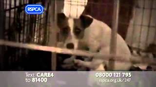 RSPCA Advert  247 2012 [upl. by Medorra428]