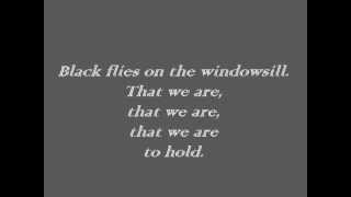 Ben Howard  Black Flies Lyrics [upl. by Dulcine956]