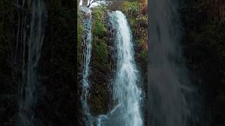 La vallée de chaudefour auvergne sancy auvergnerhonealpes [upl. by Edva560]