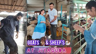 జియాగూడ పొటెల్ మార్కెట్  Goat Mandi  Pure Quality Hyderabadi Goats  Wholesale Market [upl. by Alrich]