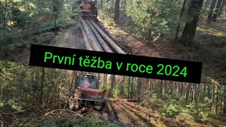 Těžba dřeva Zetor ukt 7245  Agama aga 2 Stihl Ms 261 probírka borovic jpforest8882 [upl. by Dyolf719]