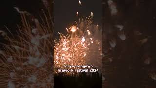 Fireworks Festival 2024 花火 in Japan Tokyo Edogawa Hanabi [upl. by Yllop]