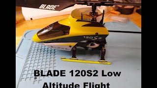 Blade 120 S2 low level flying [upl. by Hercule858]