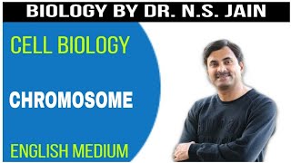 Chromosome Cell Biology  English Medium [upl. by Lorianna]