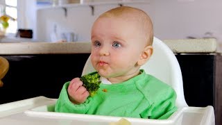 Babyled weaning basics [upl. by Wenda]