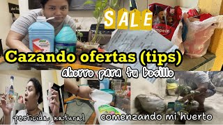 Cazando Ofertas ¡Mejor tip en el ahorro de tu despensa🤗 Iniciando mi Huerto en casa🌱 Reciclando♻️ [upl. by Sesmar]