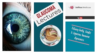 GLAUCOMA dignosis part 1 TONOMETRY AND PROVOCATIVE TESTS in detail [upl. by Mecke636]