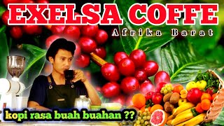 KOPI EXCELSA KOPI RASA BUAH ASAL AFRIKA BARAT  EXCELSA COFFEE [upl. by Zailer317]