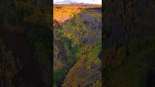 Fall Colors In Telluride colorado fallcolors fallfoliage photography [upl. by Stacie675]