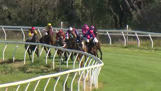 Goondiwindi 20240907 Race 3 [upl. by Anson648]