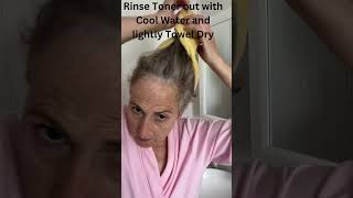 Toning Gray Hair  Ion Permanent Toner in Bronzed Wheat  Before and After Iontoner sallybeauty [upl. by Arhaz618]