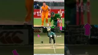 Top 2 Worst Hit Wicket in Cricket [upl. by Maretz495]