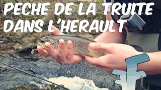 Pêche de la Truite Fario Sauvage aux Leurres dans lHérault HD [upl. by Slade]