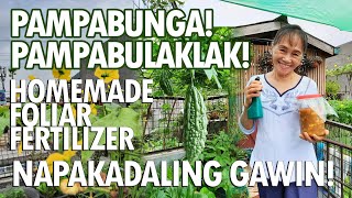 EPEKTIBONG PAMPABUNGA AT PAMPABULAKLAK NG HALAMANG GULAY  HOMEMADE FOLIAR FERTILIZER [upl. by Hgeilhsa]