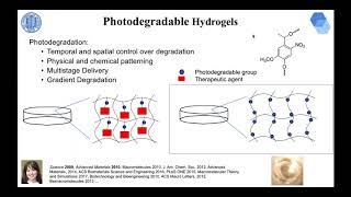 How to Better Design Biomedicine Polymeric Materials and Nanomaterials Webinar [upl. by Euqilegna207]