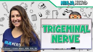 Trigeminal Nerve [upl. by Sikata]