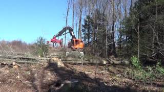 Timberpro TL745C Feller buncher [upl. by Blen]