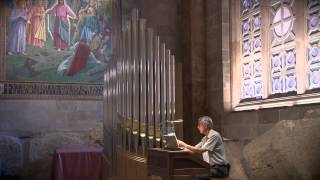 The Sound of the Rieger Organ at Gethsemane 1382014 [upl. by Lombardi443]