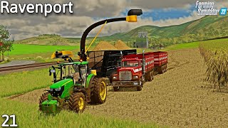 HARVESTING SUGARCANE and PLANTING COTTON  Ravenport  Ep 21 farmingsimulator22 [upl. by Tenn]