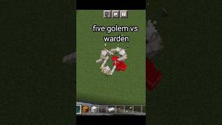 five golem vs warden part 2 [upl. by Refinnaj]