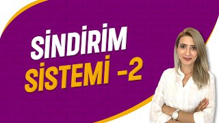 Sindirim Sistemi  2  Seda Hoca Biyoloji  10 Ders  sedahocabiyoloji ayt2023 [upl. by Servais]