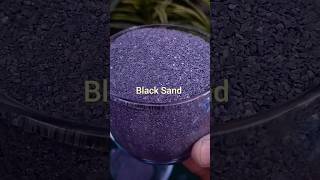 Black Sand Review shorts blacksand [upl. by Zachery]