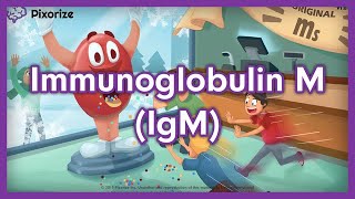 Immunoglobulin IgM or IgM USMLE Mnemonic Preview [upl. by Aitnauq]