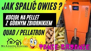 Jak spalić owies🔥 Poradnik🌟W kotle na PELLET QUAD  PELLLATRON z Palnikiem KIPI 🔥 No Limits Energy [upl. by Bergerac]