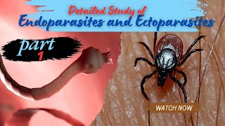 Endoparasites and Ectoparasites in detail  part 1  Endoparasites Studyswirl [upl. by Hanad]