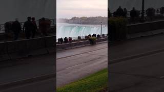 Niagara Falls from the Canadian side shorts video like love nature explore travel fun fall [upl. by Xonnel]