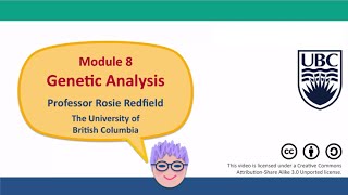 8E  Mendels genetic analysis [upl. by Gardener173]