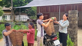 Highly effective retail method Harvest papaya and transport to sell to each household [upl. by Raimes481]