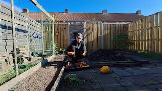 hoe doe je dat en waarom we graag een compostbak willen in onse moestuinen  moestuin oktober [upl. by Tedmann276]