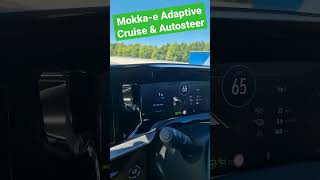 Mokkae Adaptive Cruise amp Autosteer in Action 🤩 [upl. by Gadmon]