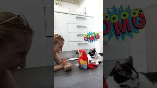 Who is crazy here😜 cat pets catlover funny cute shorts youtubeshortsfypシ゚viral short [upl. by Abijah54]