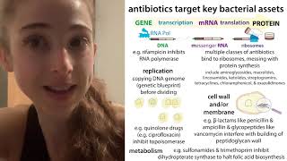 Antibiotic types amp resistance mechanisms an overview [upl. by Kenney]