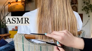 ASMR Super relaxing haircut ✂️ Scissor sounds hair brushing hair play no talking [upl. by Abroms877]