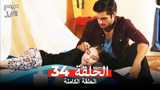 موسم الكرز الحلقة 34 دوبلاج عربي [upl. by Adieren]