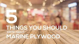 Marine Plywood  What is Marine Plywood 5 Things you should know about Marine Plywood [upl. by Ajoop]