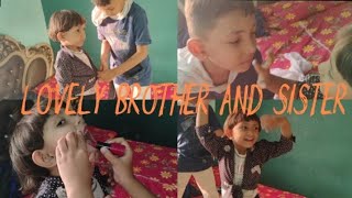 Caring Brother And Sister Bhai Bahan Ka Pyar Shanzaira VlogBonding For Bhai Bahan [upl. by Quintina]