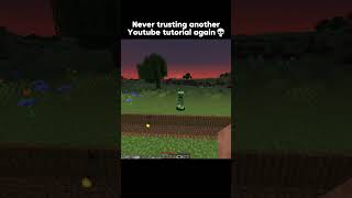 Never again 💀  minecraft minecraftshorts minecraftmemes [upl. by Paxon660]