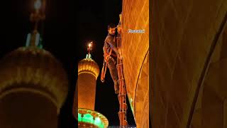 alijee alishanawar nadeemsarwar shorts foryou viralvideos [upl. by Lectra]