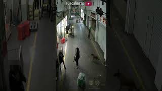 ShortC5 Lesionado  C5 CDMX Iztapalapa VideoDeLaSemana [upl. by Geraint]