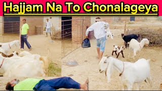 Choir Hajjam Na Sub Chona Laga Deya AMAZING Moments Caught on Camera 2024 [upl. by Blossom]