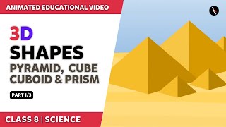 3D Shapes  Cube Cuboid Pyramid amp Prism  Part 13  English Explanation  Class 6  TicTacLearn [upl. by Aisital]