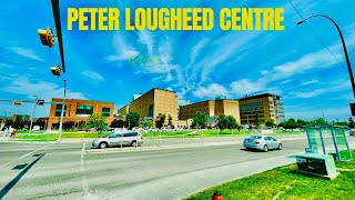 Peter lougheed hospital desi super market in canada  Canada vlogs Indian vlogger in Canada [upl. by Sivra678]