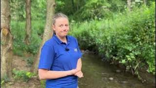 Bluespaces at Milkwellburn Wood Nature Reserve [upl. by Rosy]