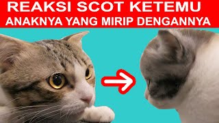 REAKSI SCOT KETEMU ANAKNYA YANG MIRIP DENGANNYA [upl. by Haila]